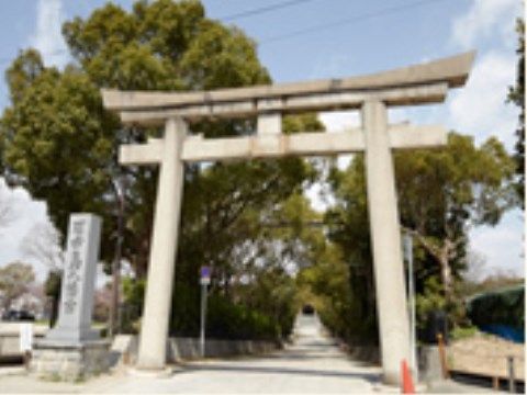 大きな鳥居の先には、長い参道が続いている。木も多く緑豊かな環境である。赤い三角コーンが地面に置かれている。