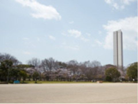 芝生、砂地の公園がある。公園は広々としており、緑も豊富なので、散歩に最適の環境である。公園からは高いビルが見える。