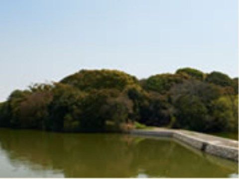 四季の移ろいを感じられる木々に囲まれた前方後円墳。古墳の周囲は堀になっていて、水鳥が羽を休めている。