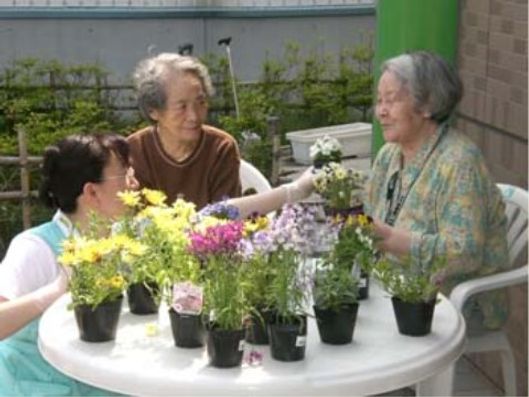 花壇