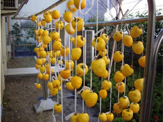 レクリエーション