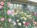 庭に咲いている色鮮やかな花の写真。季節にあったさまざまな種類の花を栽培しており、リビングからも見ることができる。