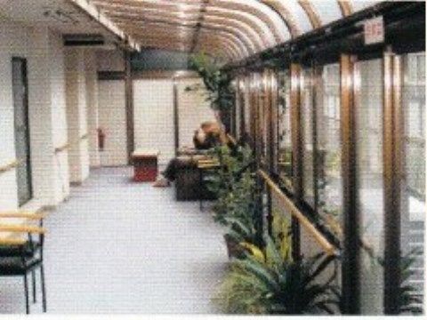 採光が確保され観葉植物が設置されたサンルームである。冬場の寒い時期でも太陽の日差しを浴びて暖かい空間になっている。