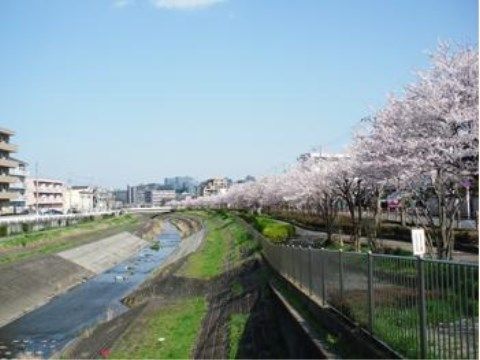 ベストライフ京王堀之内の施設周辺の風景。風情あるこの地域は一年を通して四季を感じることができます。