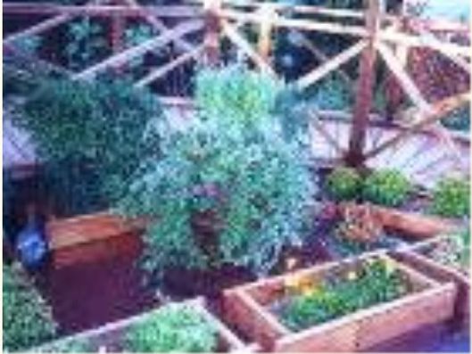 ガーデニングスペース