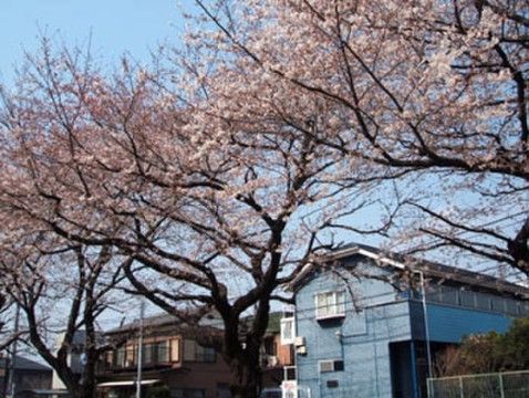 ベストライフ南浦和の周辺環境。お散歩を気持ちよくしていただける環境がございます。是非ご利用ください。