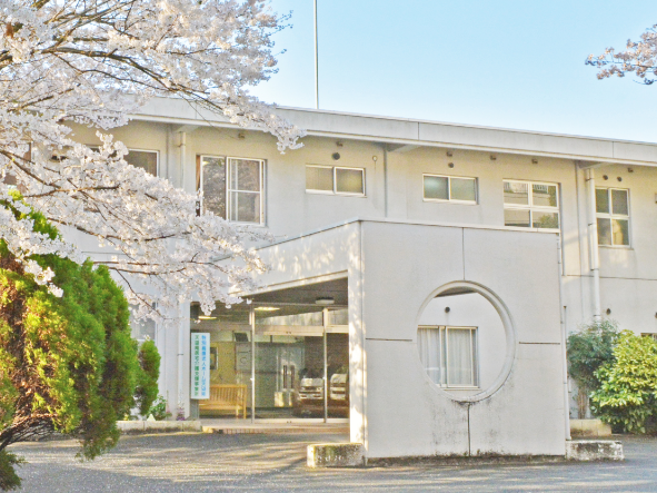 桜が咲く建物の外観