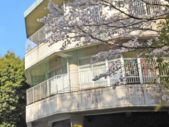桜が咲く建物の外観