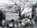ベストライフ川口のお花見。一年の季節を感じながら楽しめるイベントとなっております。