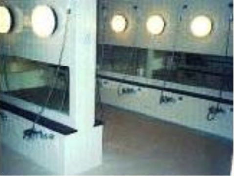 ベストライフ川口の一般浴室。大勢の入居者様と毎日楽しく、賑やかにご入浴頂ける浴室です。