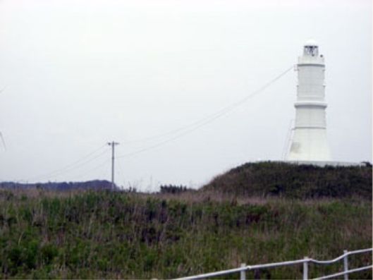 ドライブから景色