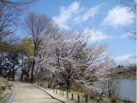 ベストライフ愛知の周辺環境。お散歩にて日々を楽しく有意義にお過ごしいただける環境が周辺にございます。