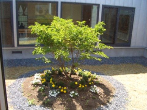 緑の生い茂った木や黄色い花の咲く、整備されたガーデン