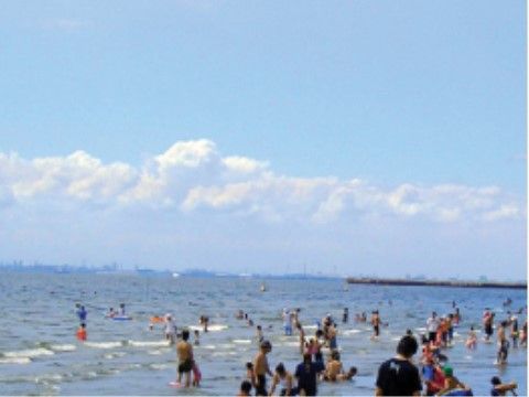 施設の窓から見える海岸。四季を感じることができる。夏には海水浴を楽しむ人々のにぎやかな声も聞こえてくる。