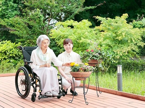 並木道のように整備された場所に植えられ、満開を迎える桜
