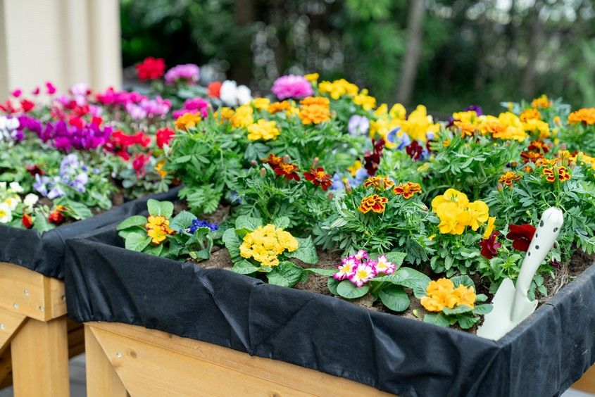 エアコンが完備された日当たりの良い個室タイプの居室である。ベットや丸テーブル、椅子などの家具が置かれている。