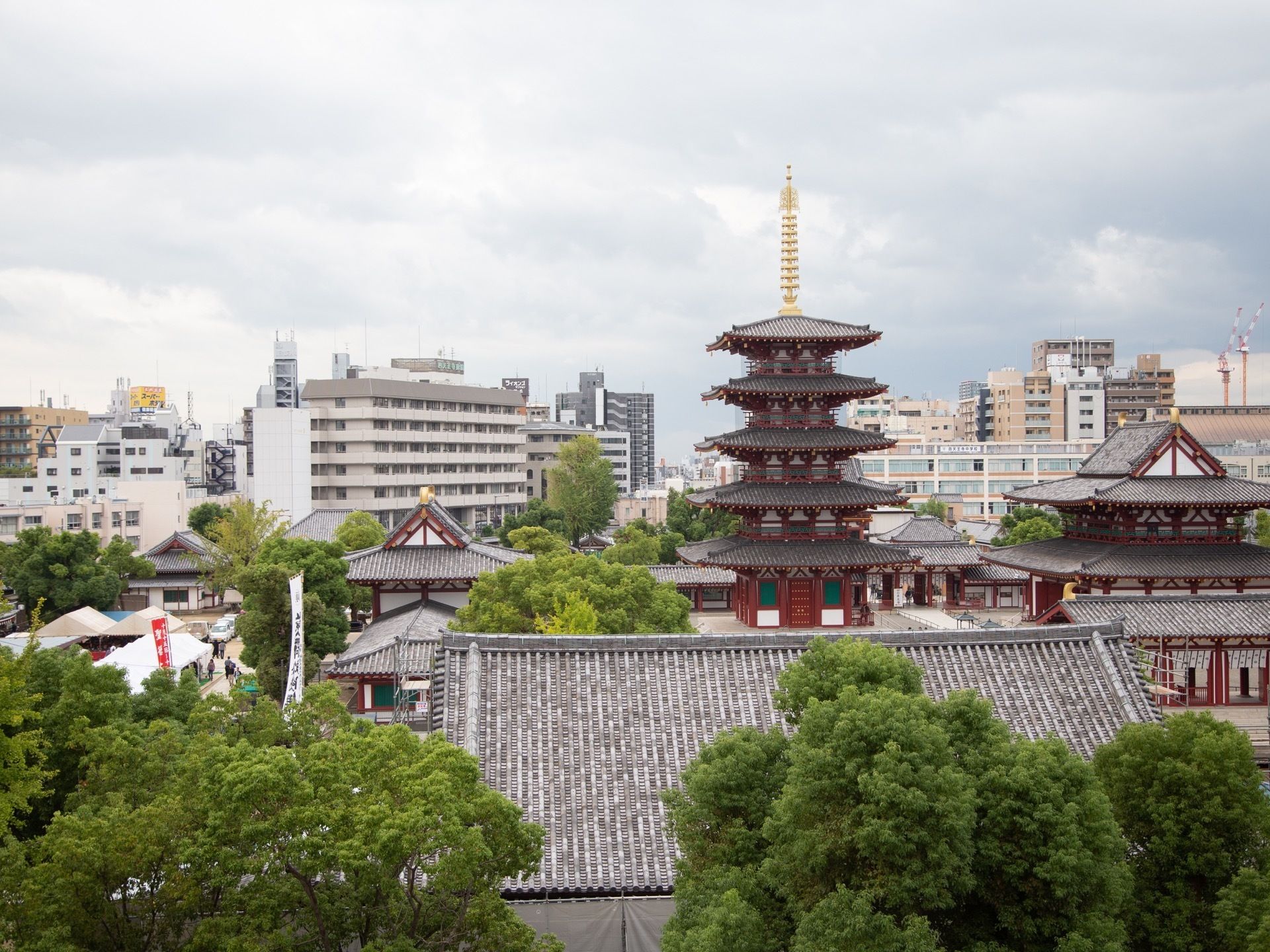 木々に囲まれた寺院を含め、館内から見える周囲の景色