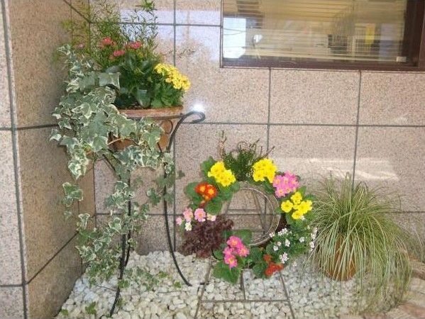 大理石調の施設玄関先のスペースに飾られている複数の植物