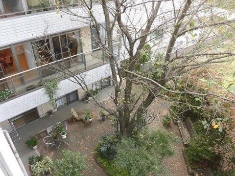 椅子とテーブルがある中庭にはさまざまな種類の植栽が植えられており、季節により変化していく様子を観察することができる。