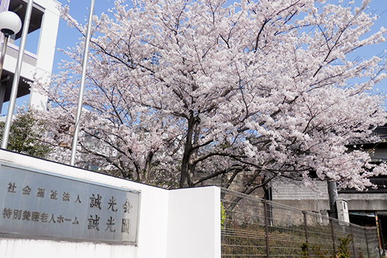 桜並木のある施設外観