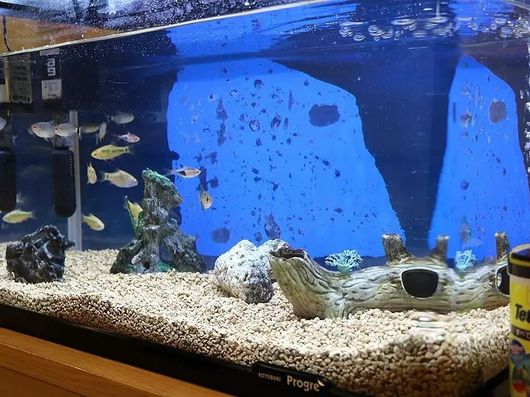 リビングルーム兼食堂兼機能訓練室