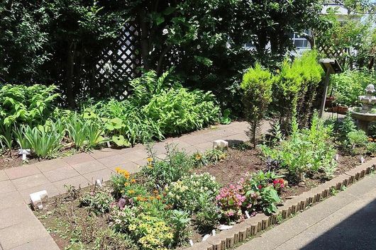 お庭の花壇