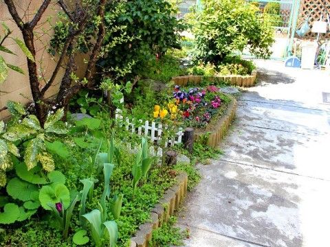 テラスには、花壇が完備されている。多種類の草花が植えられ、四季折々の表情を見せ入居者様の癒しになっている。
