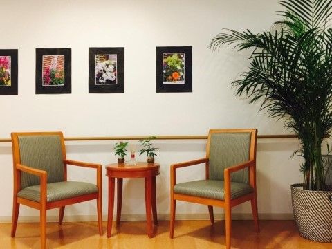 床に大きな観葉植物が置いてある。その隣には丸いテーブルを挟んで椅子が２脚置いてある。白い壁には花の写真が飾られている。