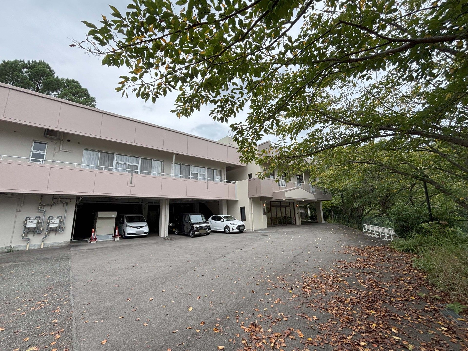 緑に囲まれた建物の外観