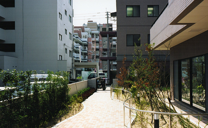 明るい散歩道