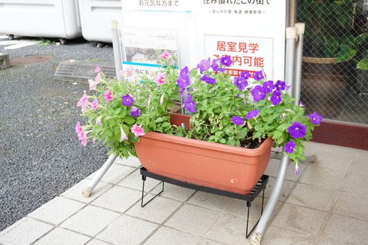 植木鉢