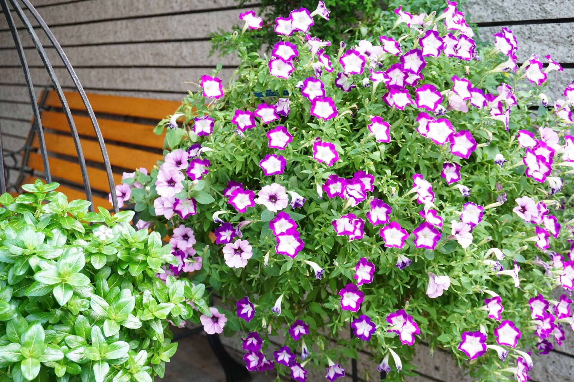 ベンチと花の入った花瓶が設置されている玄関