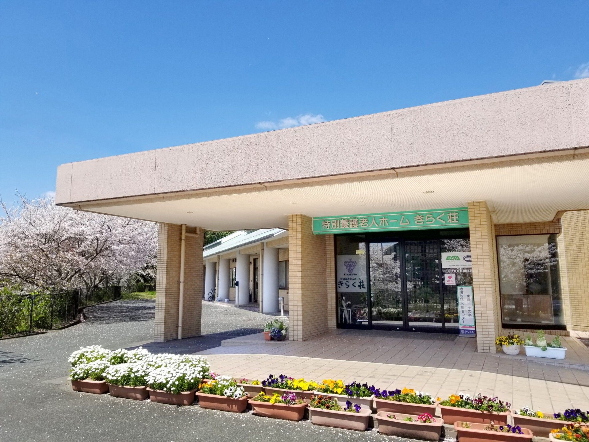 桜並木の入口エリア