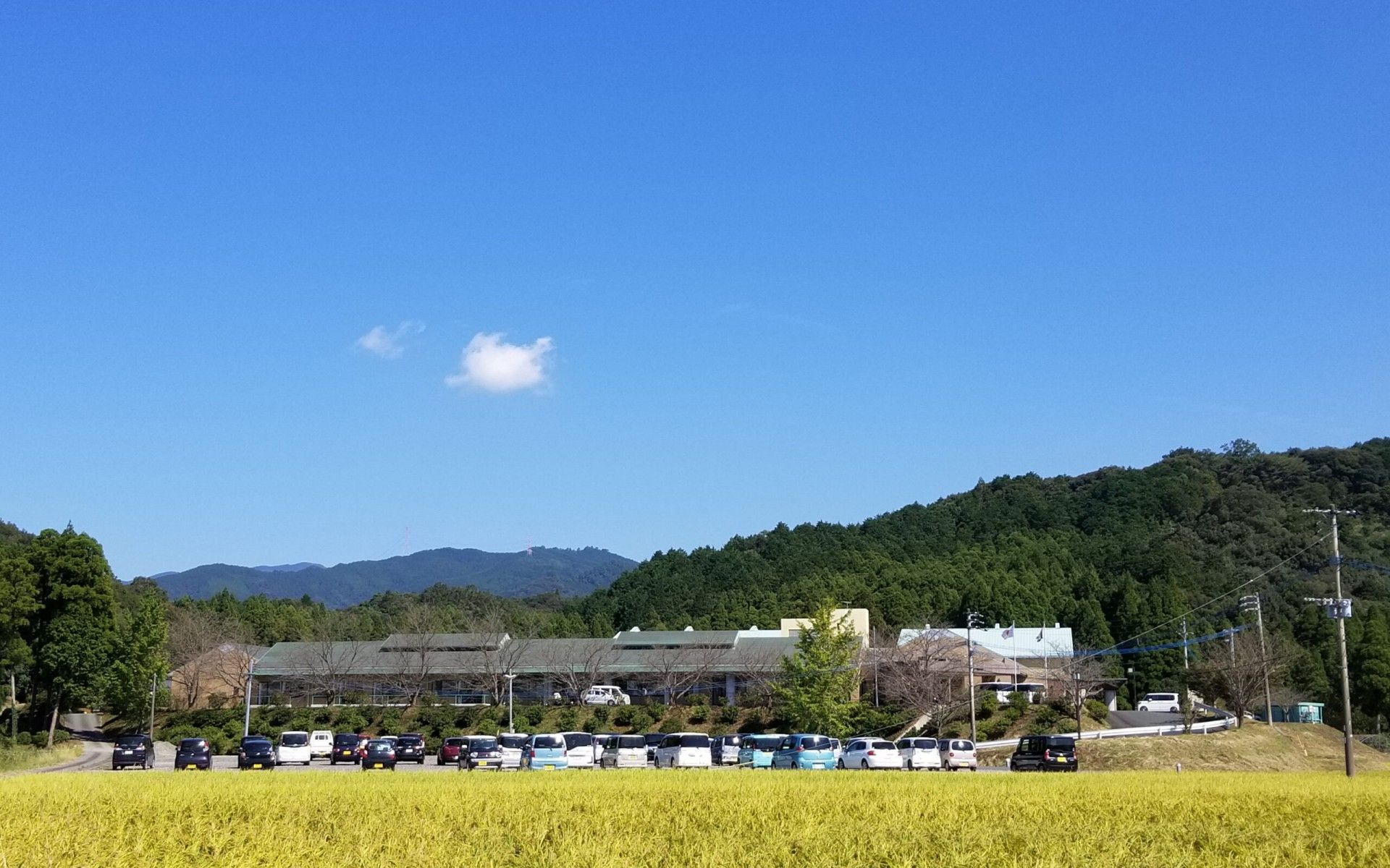 自然に囲まれた施設外観