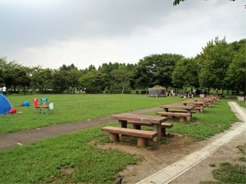 広々とした公園の中には木々が植えられている。ベンチが複数設置されており、そこで休憩することができる。