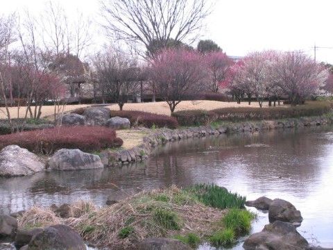 当施設の周辺には散策スポットがいくつもあり、近隣の公園では四季折々の草木や池の様子を楽しむことができる。