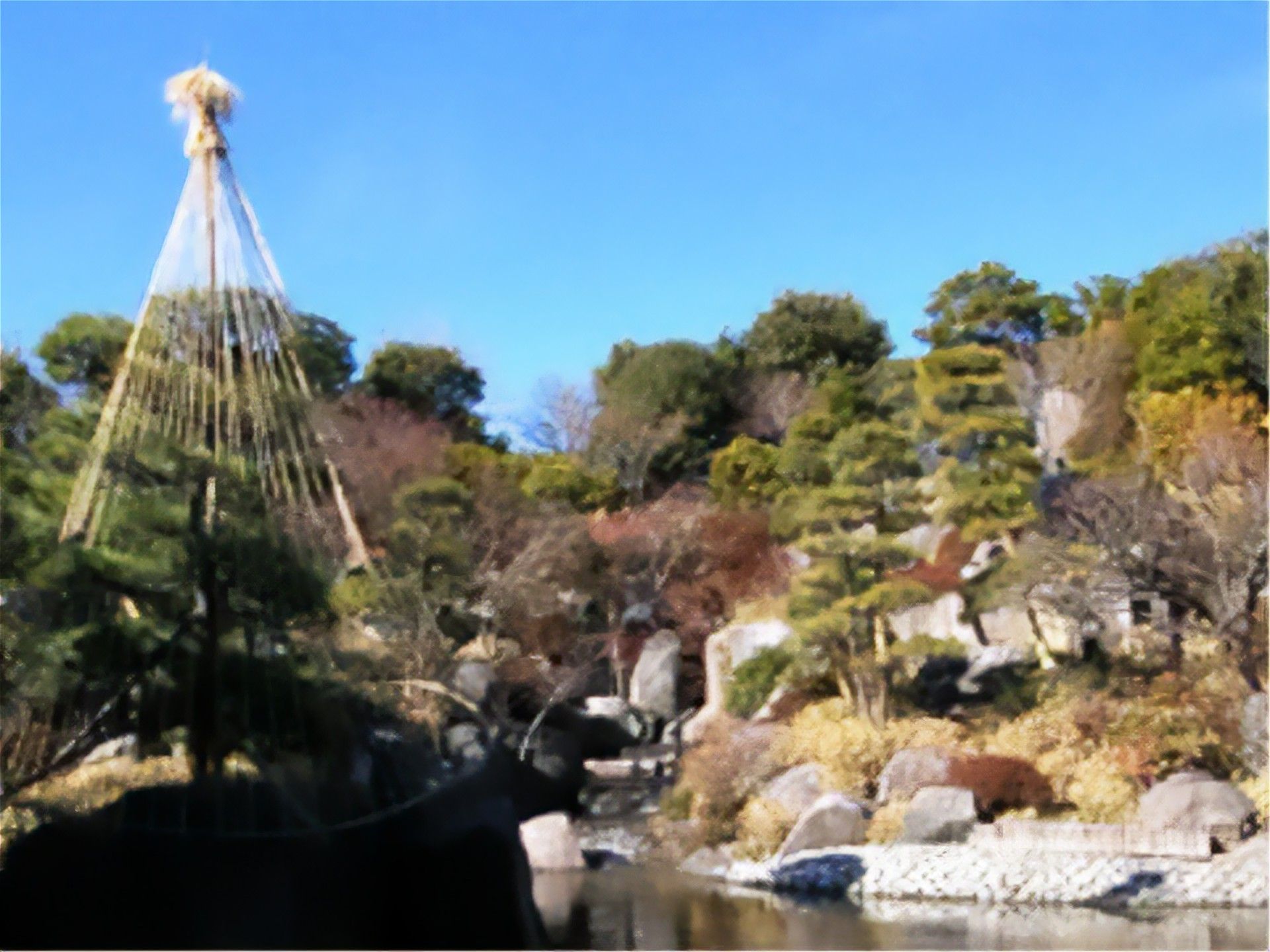 「アライブ目白」の目白庭園。季節折々の植物が鑑賞できる。