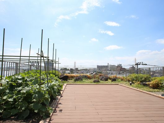 屋上の菜園周辺