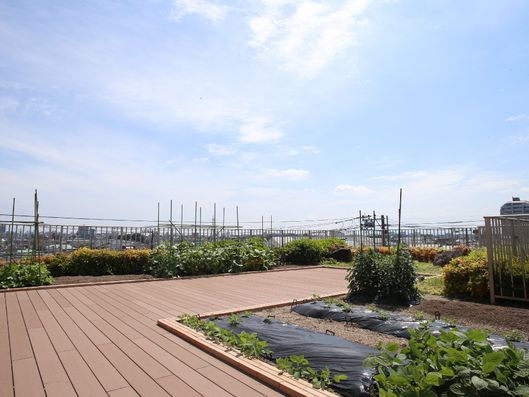 屋上の菜園の様子