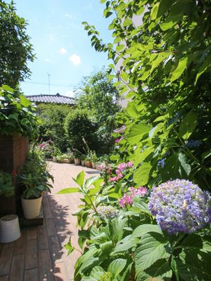 施設周辺の植物