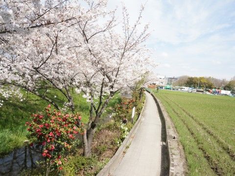 「レザミ鶴見緑地」の周辺。緑に囲まれた穏やかな環境。