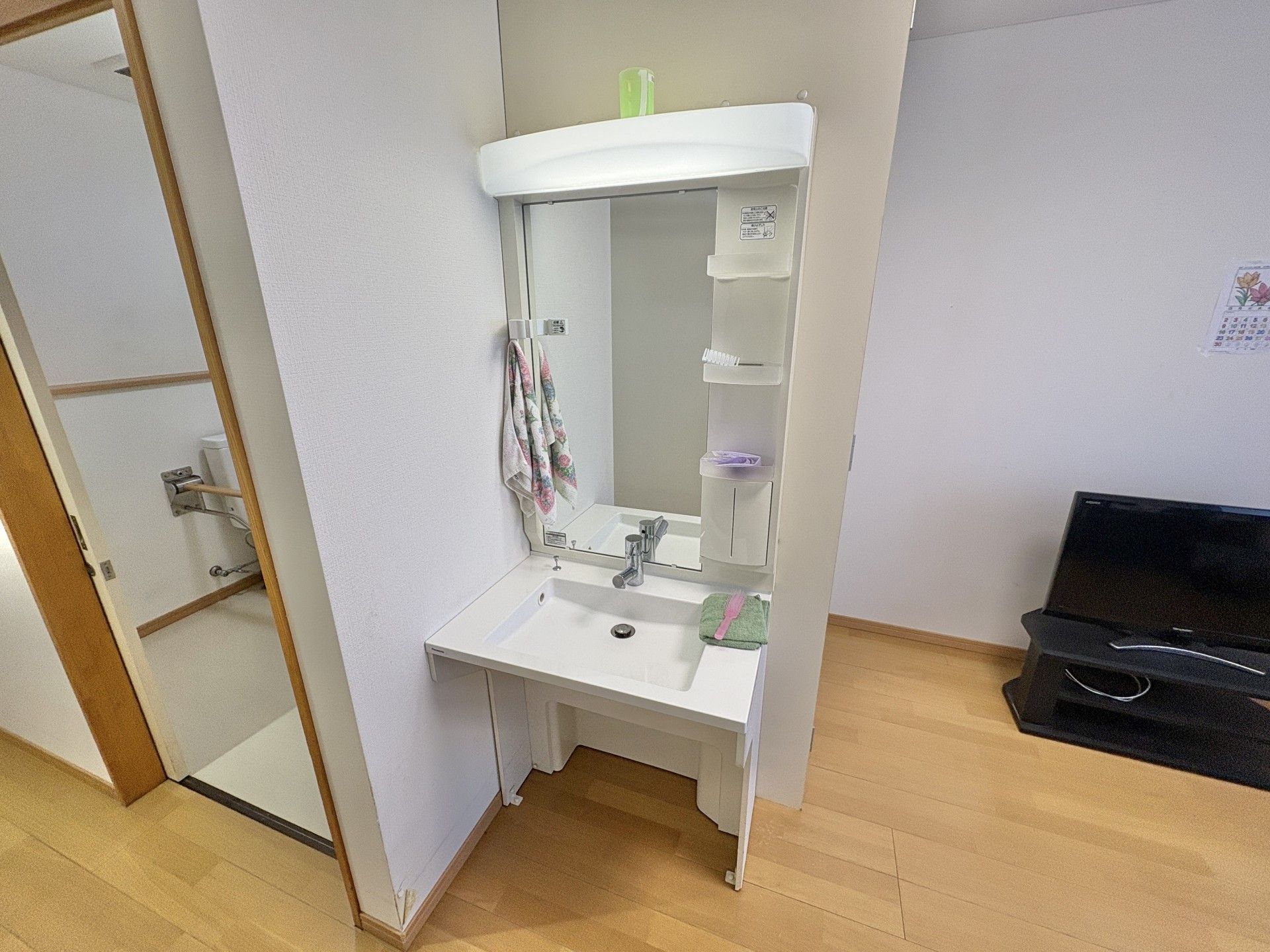 洗面台とテレビのある部屋