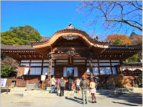大きなお寺が近くにあるので、散歩をしながら花見や紅葉など季節の自然なども楽しむことができる。散歩コースにおすすめである。