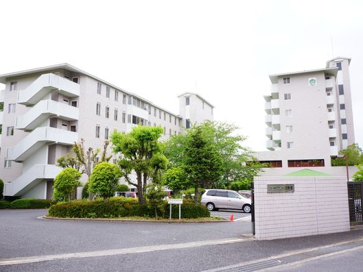 外の様子