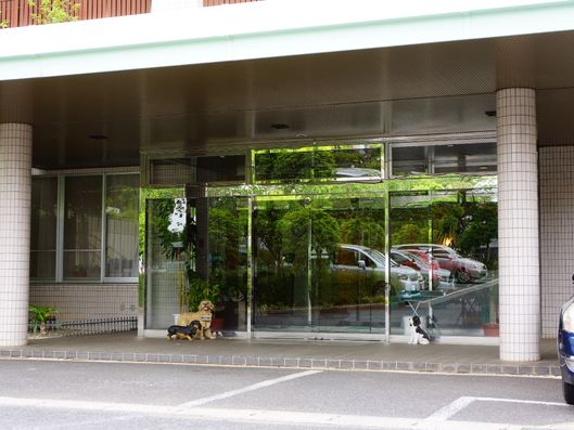 入口ドア