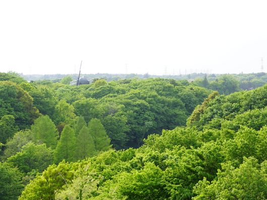 外の様子