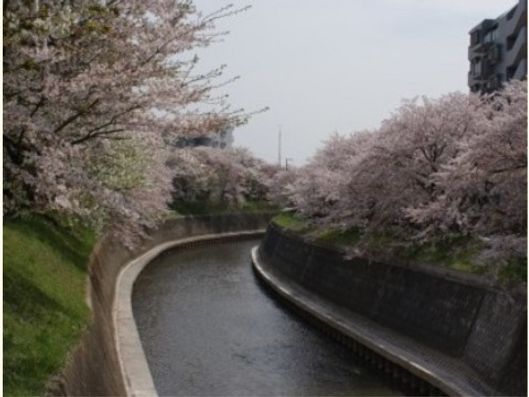 レクリエーション
