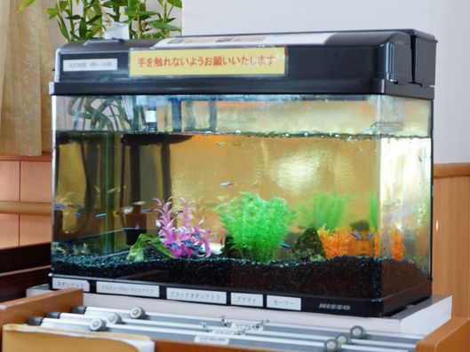 水槽