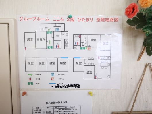 展示物