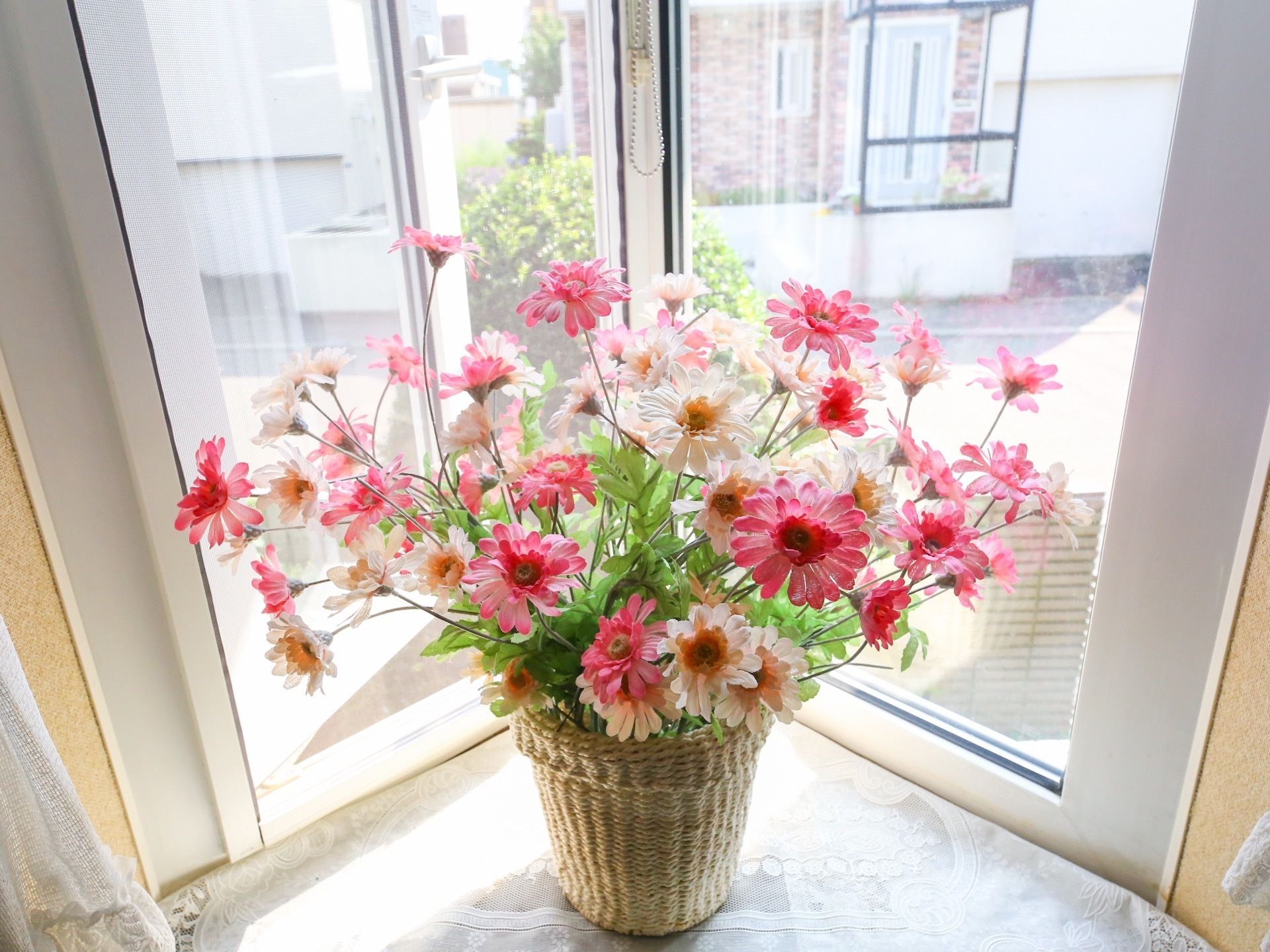 明るい窓際に飾られた赤や白の花の咲く鉢植え